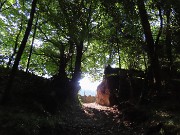 Monte Suchello (1541 m) ad anello da Costa Serina il 28 agosto 2024   - FOTOGALLERY